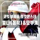 코토부키야 포켓몬스터 빛나(동복) with 모부기 피규어 완성품 간단 리뷰