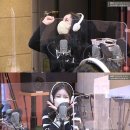 정희의류 마이데일리