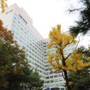 세종대학교 관광대학원 이미지