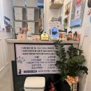 냥 | [수원] 추운 날씨, 실내 데이트에 딱! 수원 고양이 카페 냥보고심쿵 후기