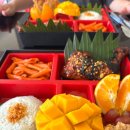 SD수영장 | 🚩세부 여행기록 EP.3 | 바다부터 수영장 올클리어