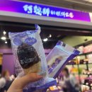 11680-221-110외 | 타이베이 펀패스 내돈내산 후기