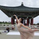 범동포 이미지