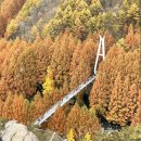 대전 단풍 명소 장태산자연휴양림, 11/17 주말 방문 후기