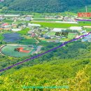 파평체육공원(야구장) 이미지