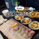 물고기삼촌 | [부산 수영구 횟집 추천] 밑반찬부터 회 퀄리티까지 완벽했던 ‘물고기삼촌’ 솔직 후기