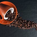 커피와세탁 이미지