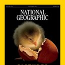 gc-camera-053 이미지