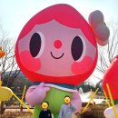 북방체육공원(북방공설운동장) | 논산 딸기축제 주차 실시간 확인, 첫날 아이랑 다녀온 솔직 후기