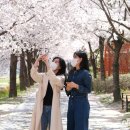 삼봉천 이미지