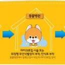 굿닥터동물병원 이미지