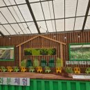 슬로우스테이_서면