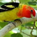 환경체육단지 다목적구장 이미지