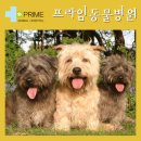 구리동물병원 이미지