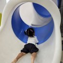 천전동9 Daum카페