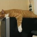 놀아줘PC 이미지