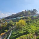 자산동128 이미지