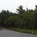 산록매점