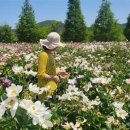 모란생태공원 이미지