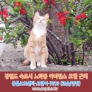 호텔아마란스 이미지