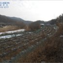 대상(주)천안공장 이미지