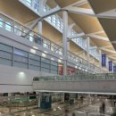 샤멍샤멍 | 샤먼여행 샤먼항공 하문항공 후기 (좌석/기내식)