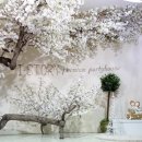 아이스토리 이미지