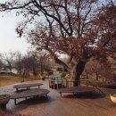 행정사신정호사무소 이미지