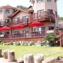 선유도장자도리치민박 이미지