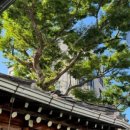 애견카페 134 이미지