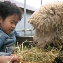 민재목장 이미지