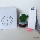 센트레스트 이미지