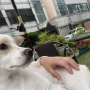 여수동물병원 이미지