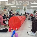 노블요양병원 | 덕양구 요양원 원당노블요양원주야간보호센터 위치별 특징