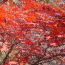 무주 적상산(赤裳山;1,034m) 산행기 이미지