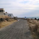 마라도 바다민박 이미지