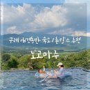 노고마주 | 구례 에어비앤비 : 애견동반 숙소 노고마주, 수영장 후기