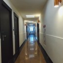 온리킹 | 목포 | 아야나 호텔 AYANA 디럭스 라지킹 후기(룸온리), 가성비와 위치 Good! 청결은 글쎄?