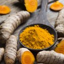 조인트하우스 이미지