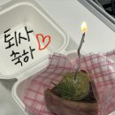 이제 진짜 살 빼야지 n번째 다짐