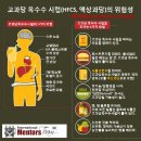 고과당 옥수수 시럽(HFCS, 액상과당)의 위험성 / * HFCS(High Fructose Corn Syrup) 이미지