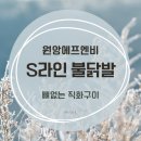 라인에프엔비 | [리뷰] 뼈없는 직화구이! 'S라인 불닭발' 내돈내산 후기