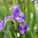 연가리맑은터 이미지