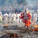 Fancy and game 이미지