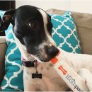 훈 동물병원 이미지