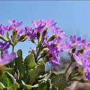 기계봉좌마을 이미지