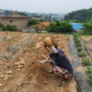 원길농장 이미지