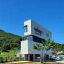 댕댕아띠 이미지