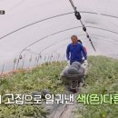 장포농장 네이버블로그