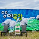 산 목장 이미지